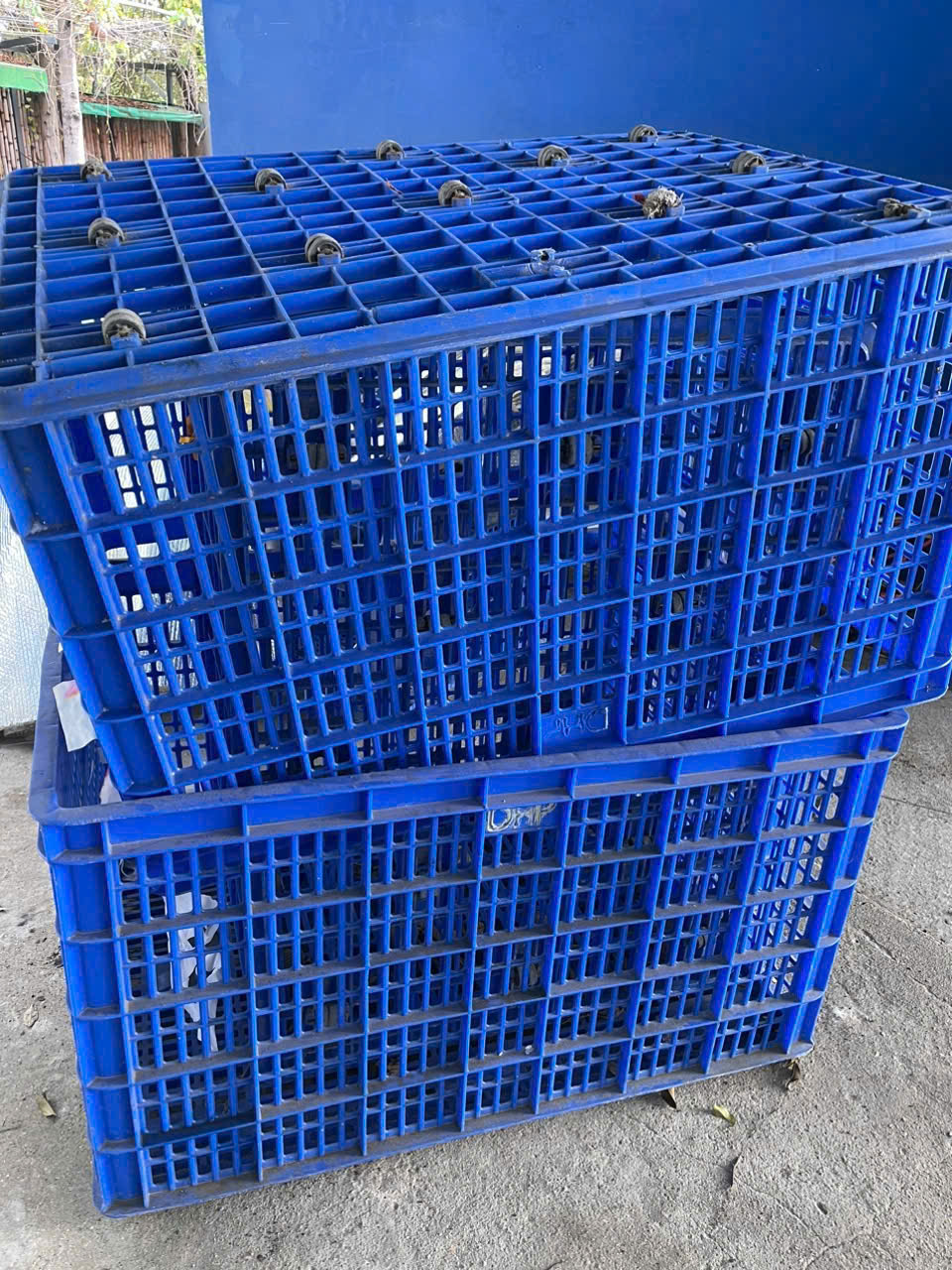THU MUA THANH LÝ RỔ NHỰA, SỌT NHỰA TẠI BÌNH DƯƠNG, ĐỒNG NAI, LONG AN, GIÁ CAO NHẤT